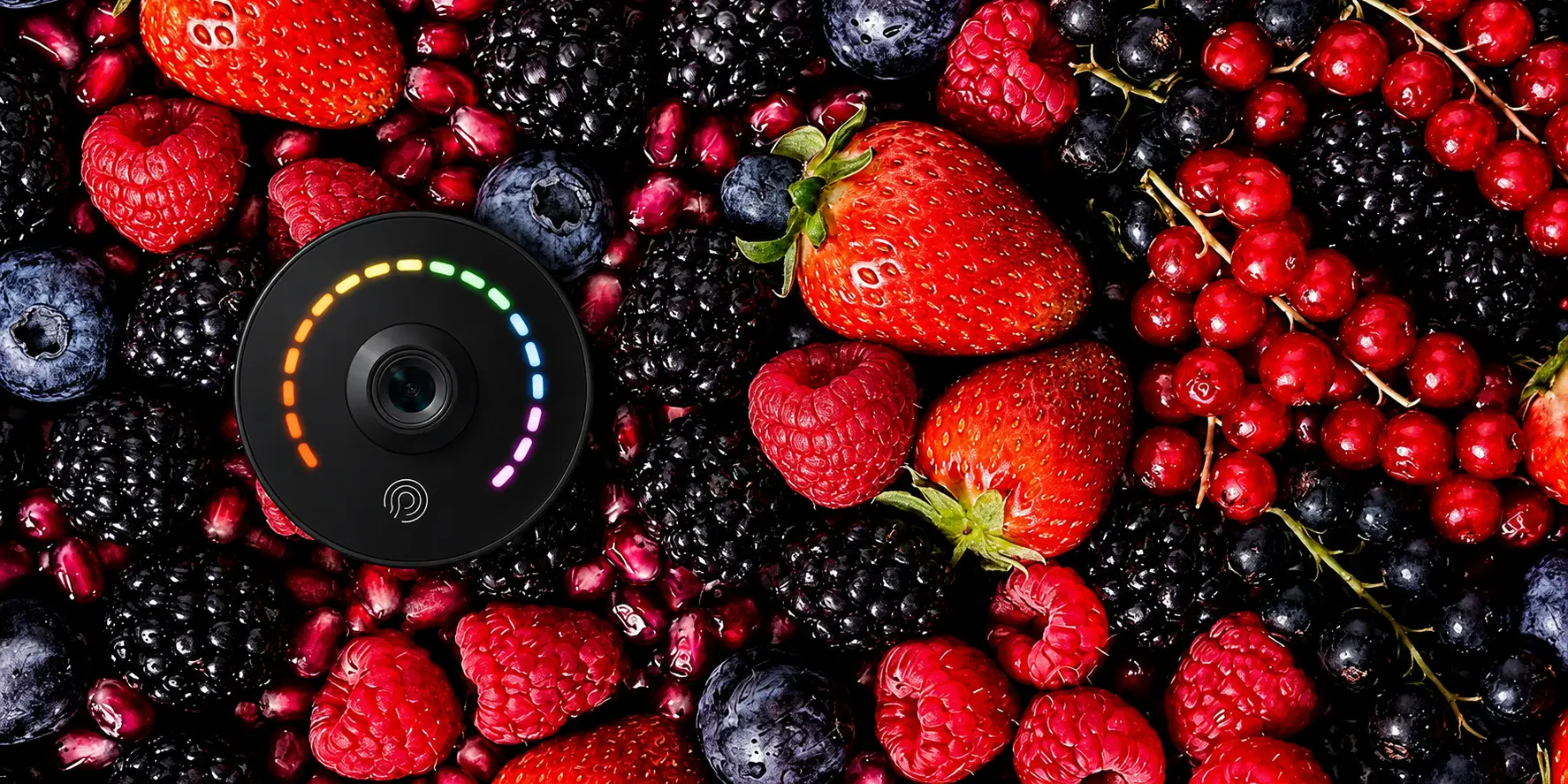 Prysm iO vitalitásszint mérés